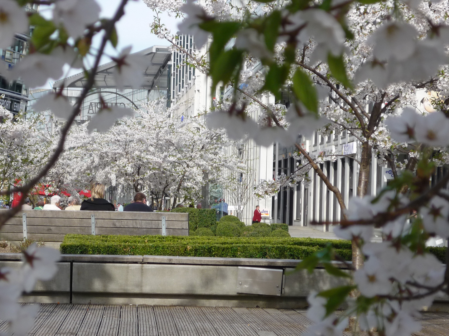 Frühling in der City