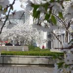 Frühling in der City