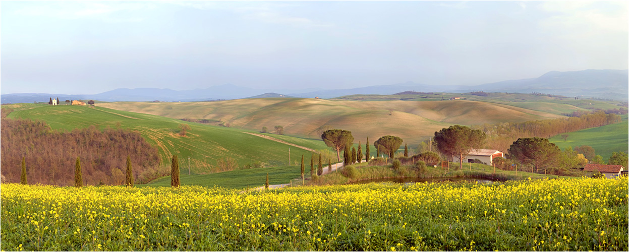 Frühling in der Crete Senesi