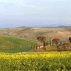 Frühling in der Crete Senesi