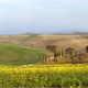 Frhling in der Crete Senesi