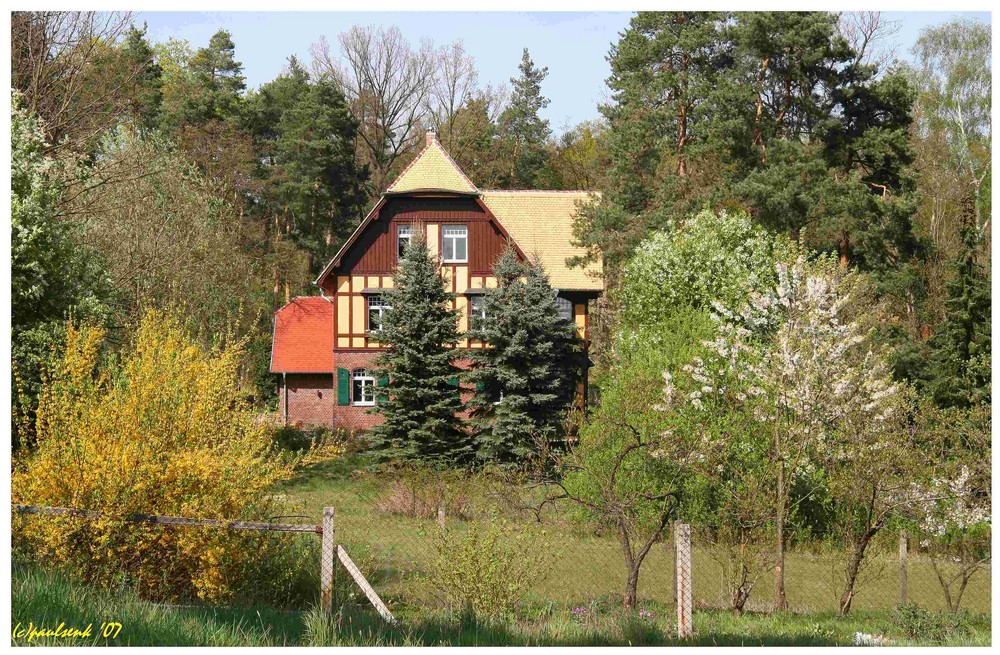 Frühling in der "Dahlener Heide"