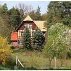 Frühling in der "Dahlener Heide"