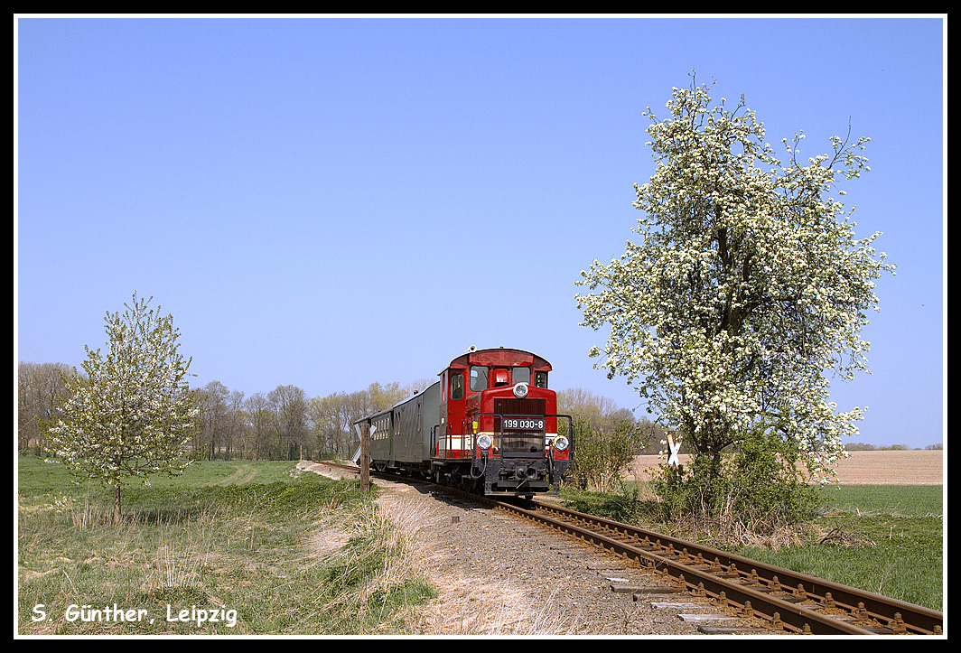 Frühling in der Döllnitzniederung