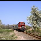 Frühling in der Döllnitzniederung