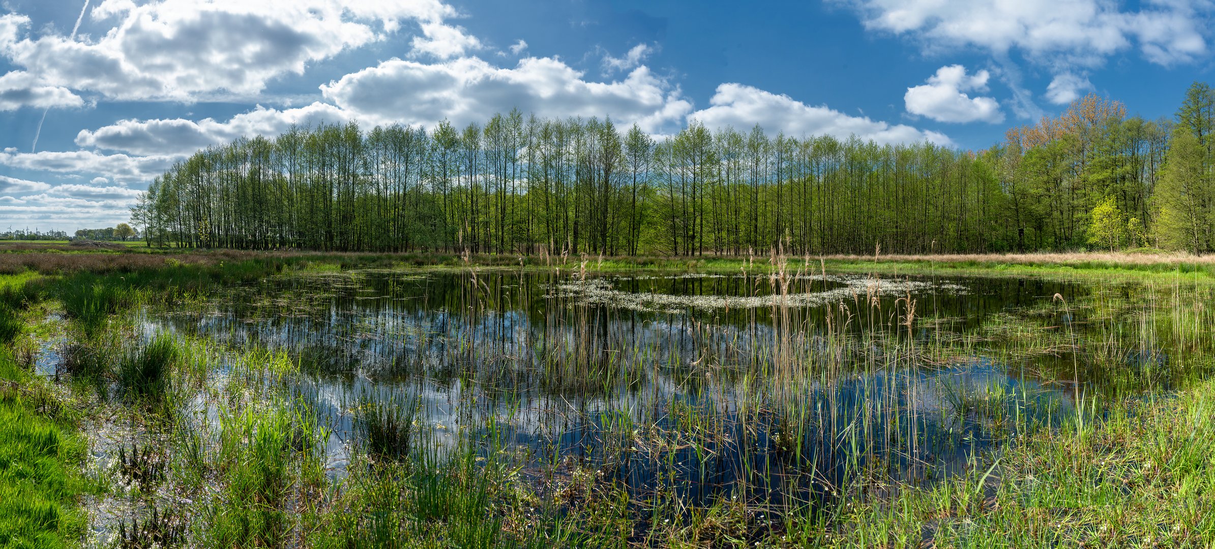 Frühling in der Dümmerniederung!