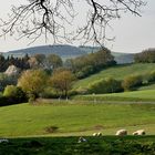 Frühling in der Eifel