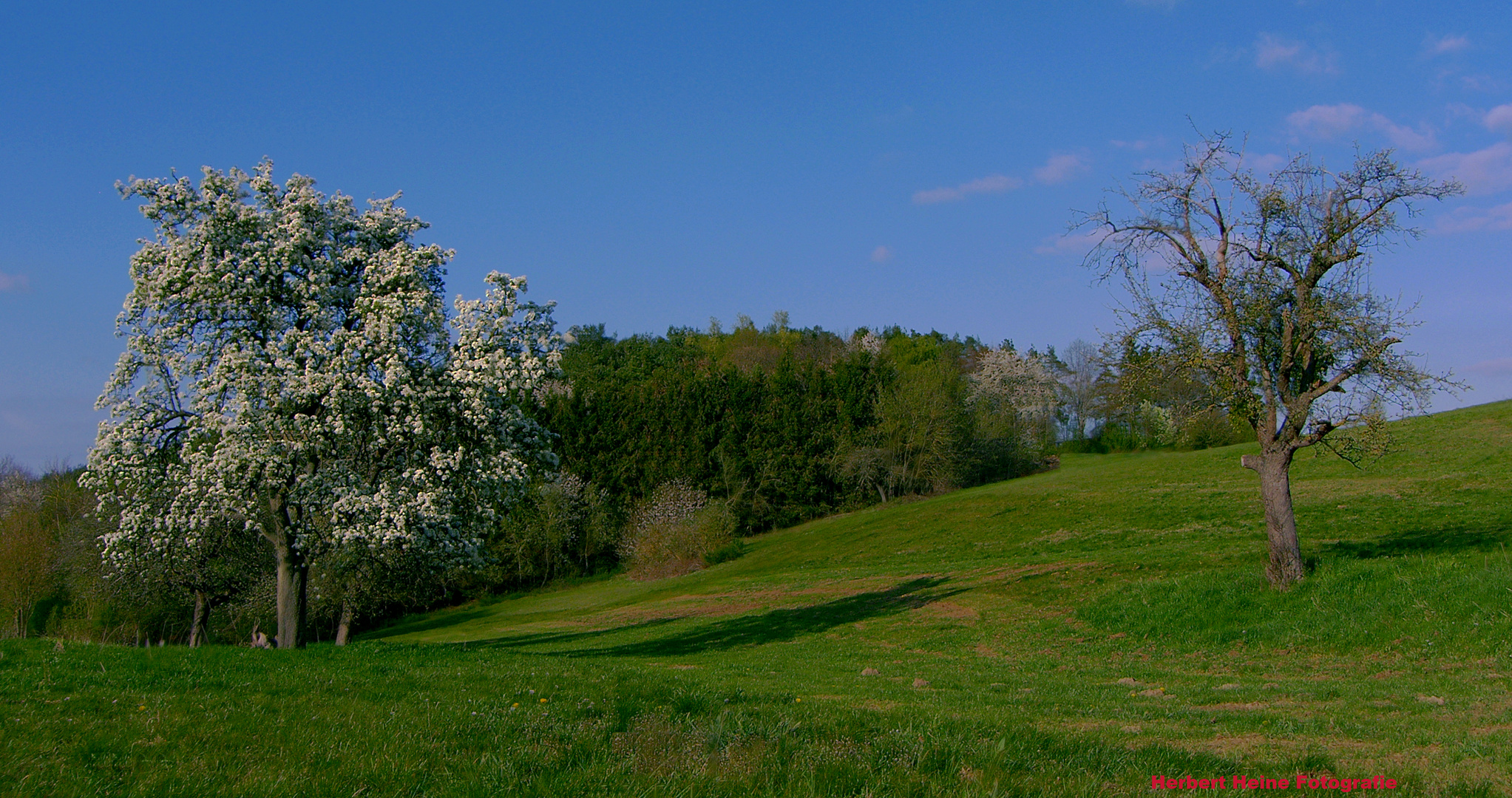 „Frühling, in der Eifel“.....