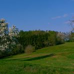 „Frühling, in der Eifel“.....