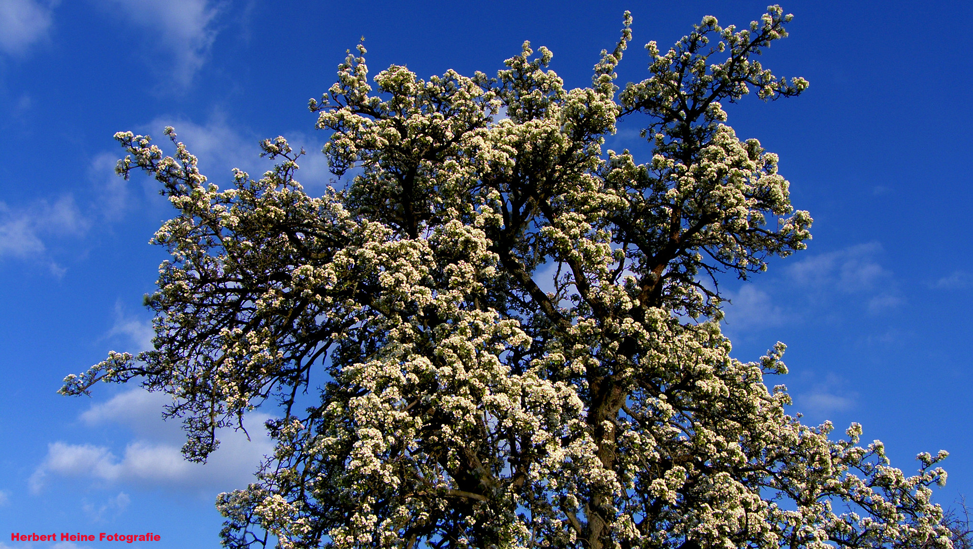 „Frühling, in der Eifel“.....