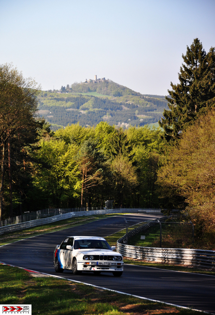 Frühling in der Eifel