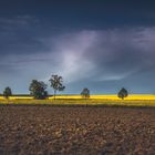 Frühling in der Eifel