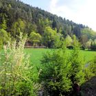 Frühling in der Eifel