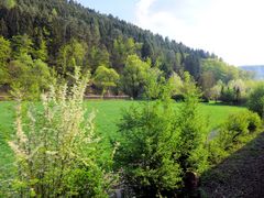 Frühling in der Eifel