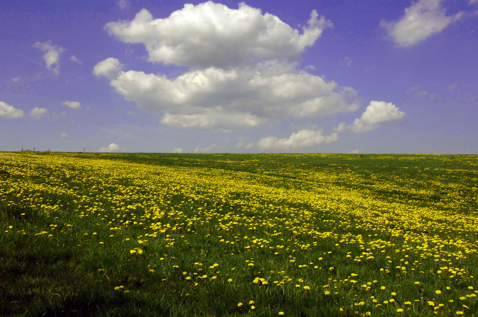 Frühling in der Eifel...