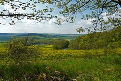 Frühling in der Eifel