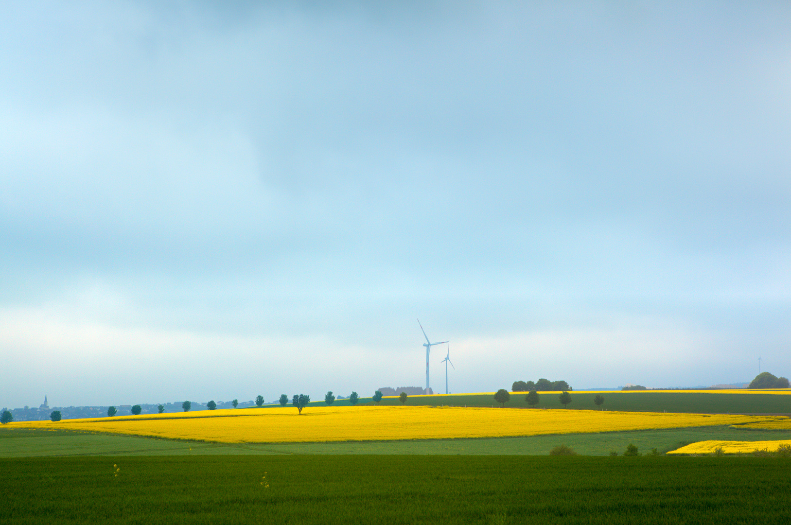 Frühling in der Eifel