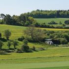 Frühling in der Eifel bei Alendorf