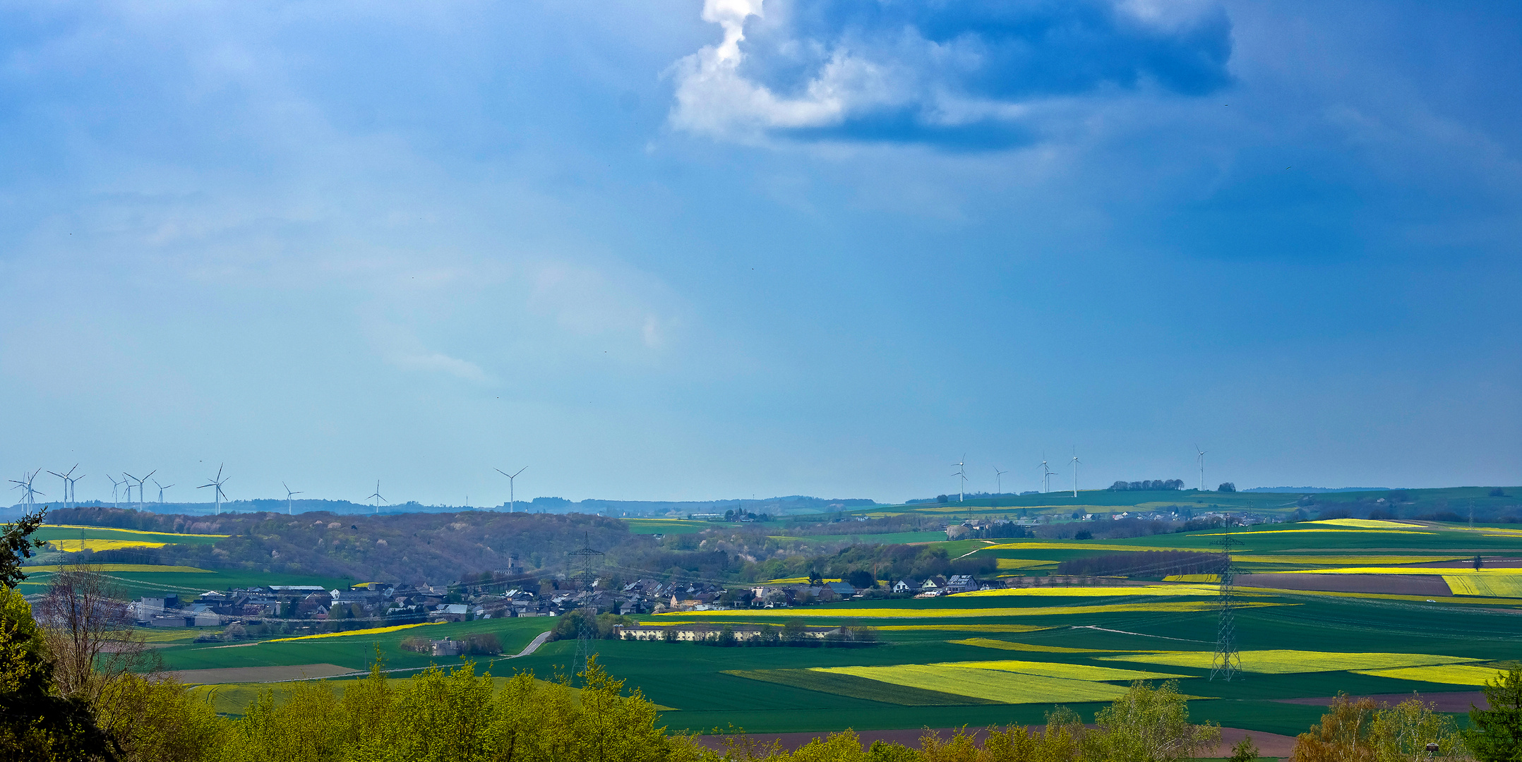 Frühling in der Eifel