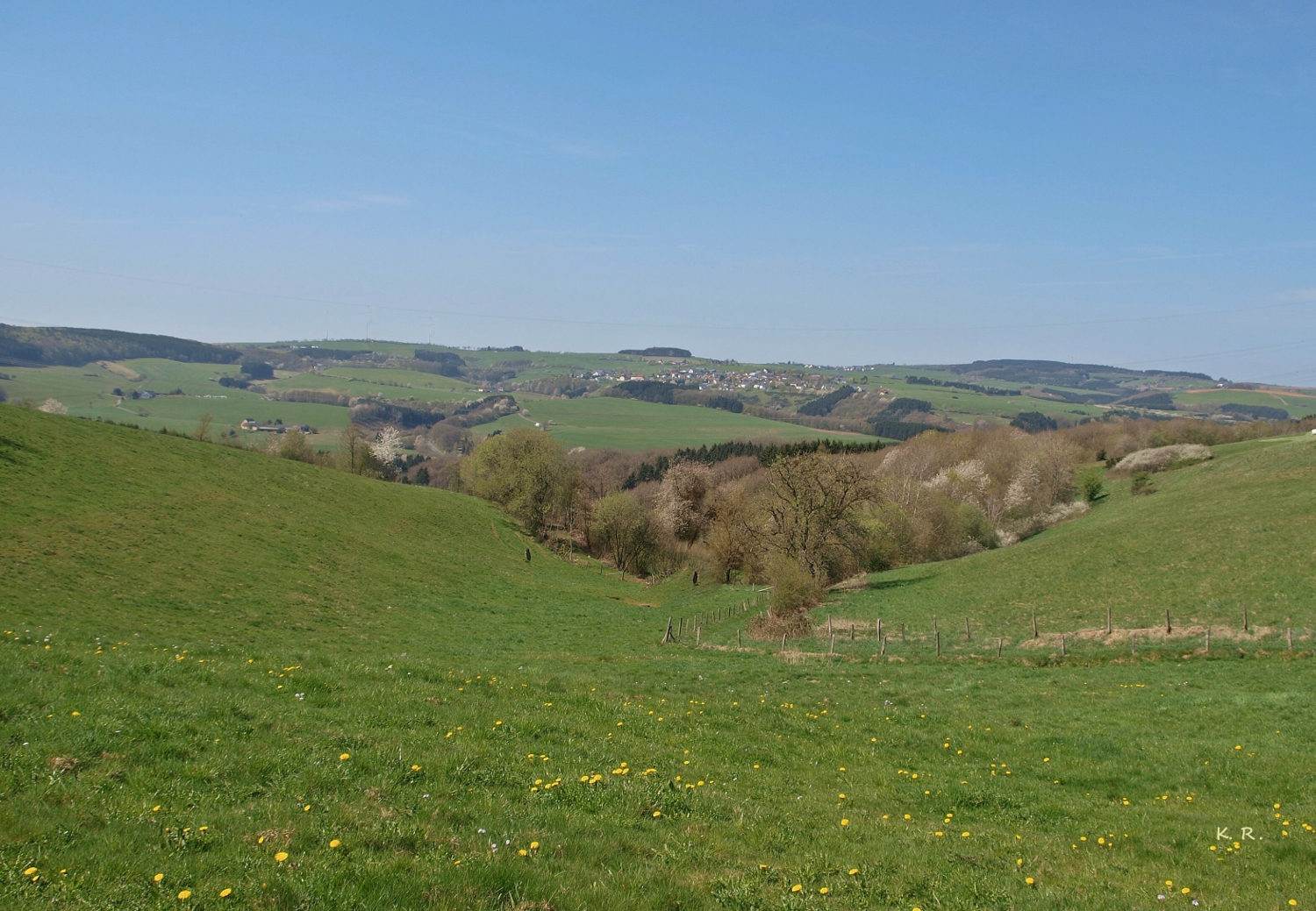 Frühling in der Eifel