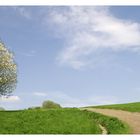 Frühling in der Eifel