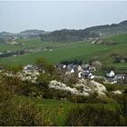 Frühling in der Eifel