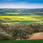 Frühling in der Eifel II