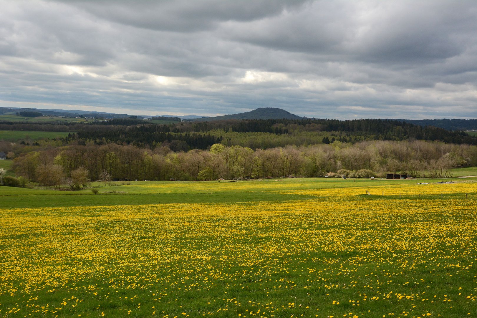 Frühling in der Eifel wird deutlich sichtbar.