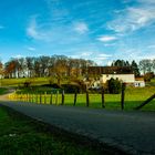 Frühling in der Elfringhauser Schweiz