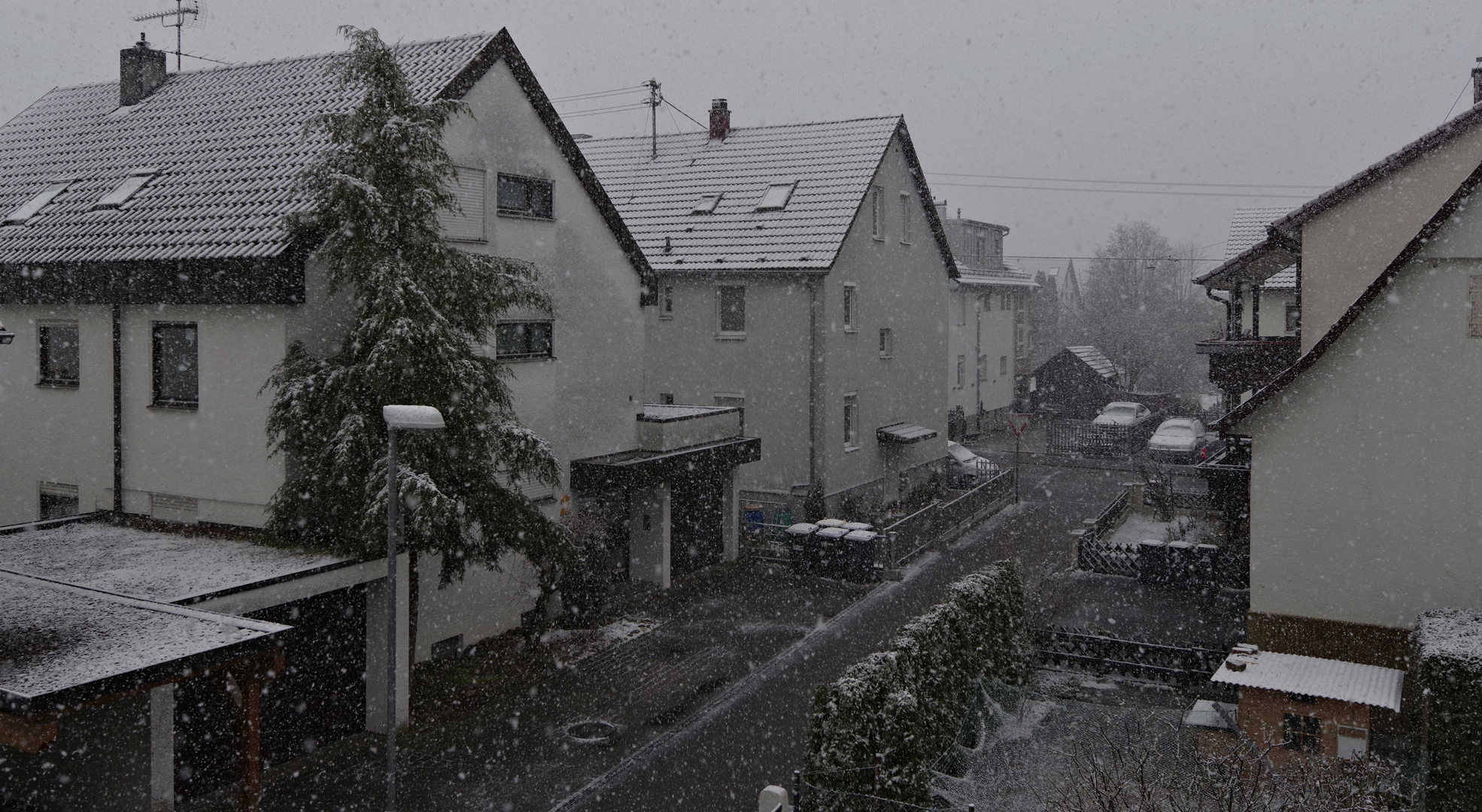 Frühling in der FC