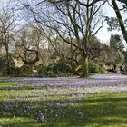 Frühling in der Flora ...