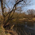 Frühling in der Flussaue