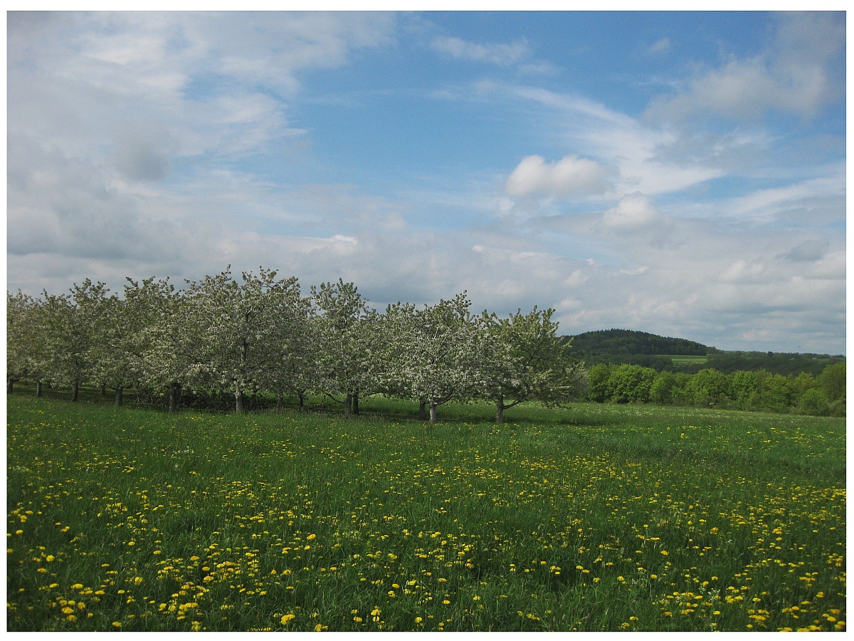 Frühling in der Fränkischen Schweiz