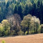 Frühling in der Fränkischen Schweiz