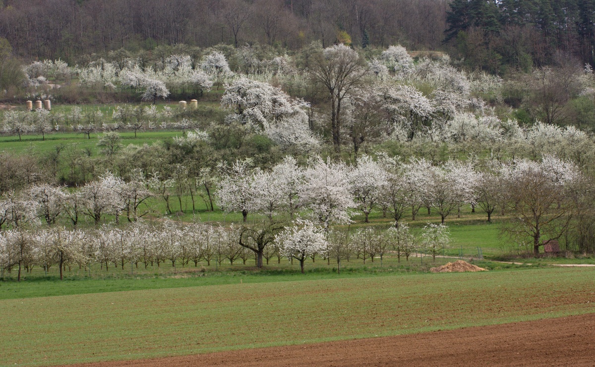 Frühling in der Fränkischen Schweiz