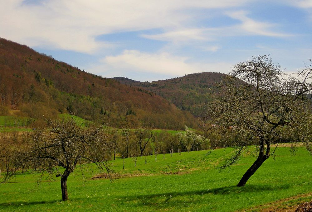 Frühling in der Fränkischen Schweiz