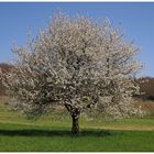 Frühling in der Fränkischen Schweiz