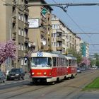 Frühling in der Großstadt