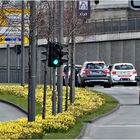 Frühling in der Großstadt