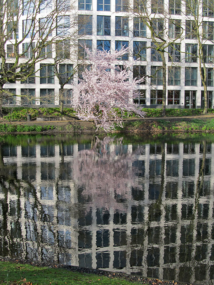 Frühling in der Großstadt