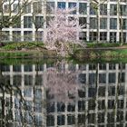 Frühling in der Großstadt