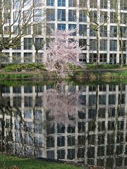 Frühling in der Großstadt