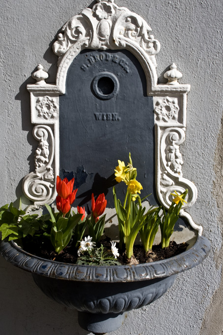 Frühling in der Großstadt