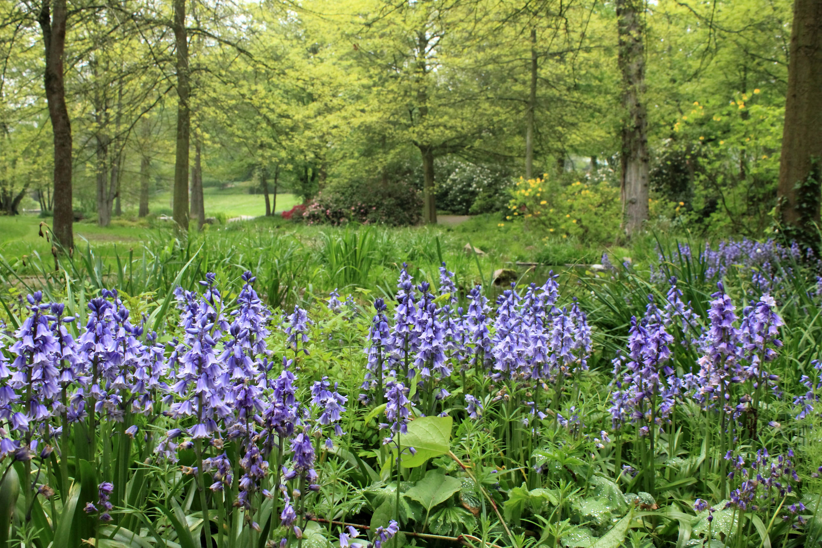 Frühling in der Gruga