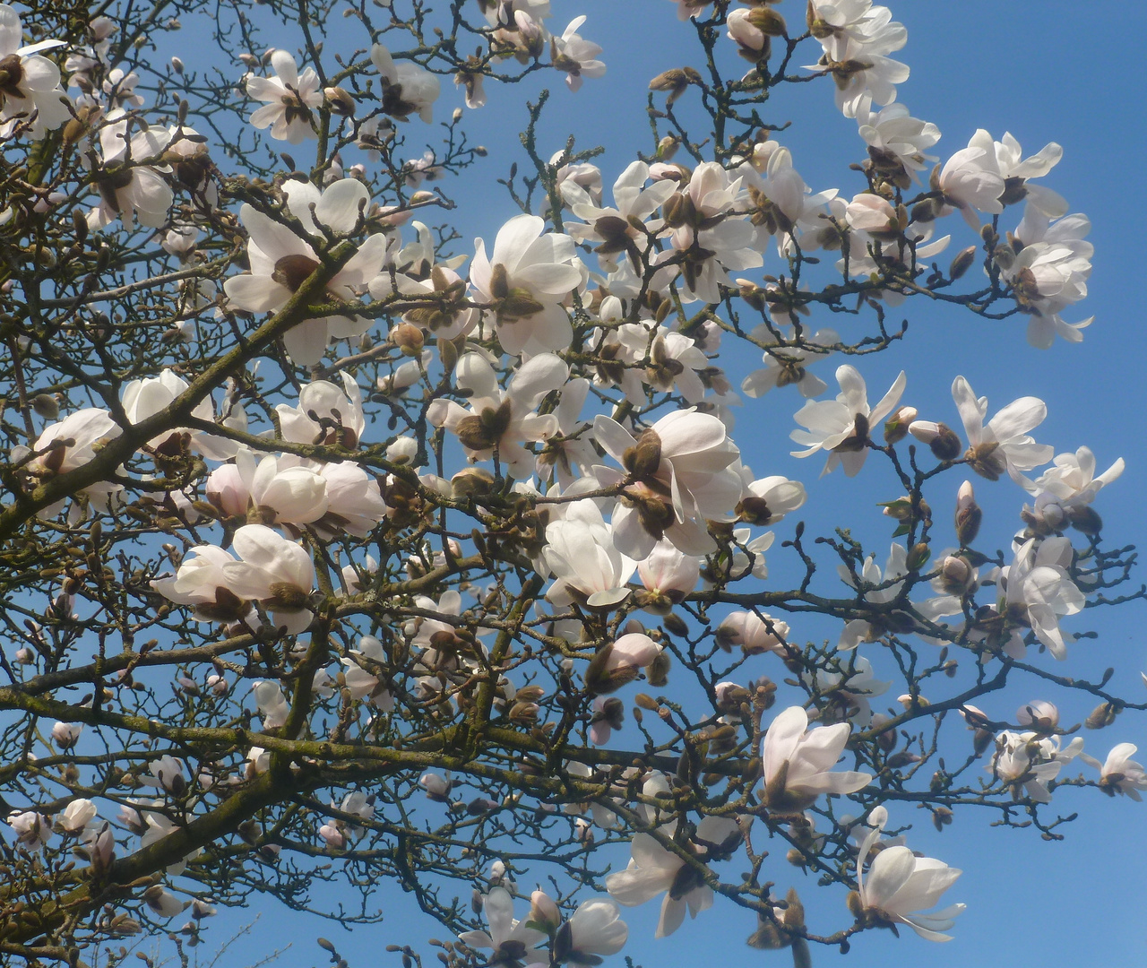 Frühling in der GRUGA