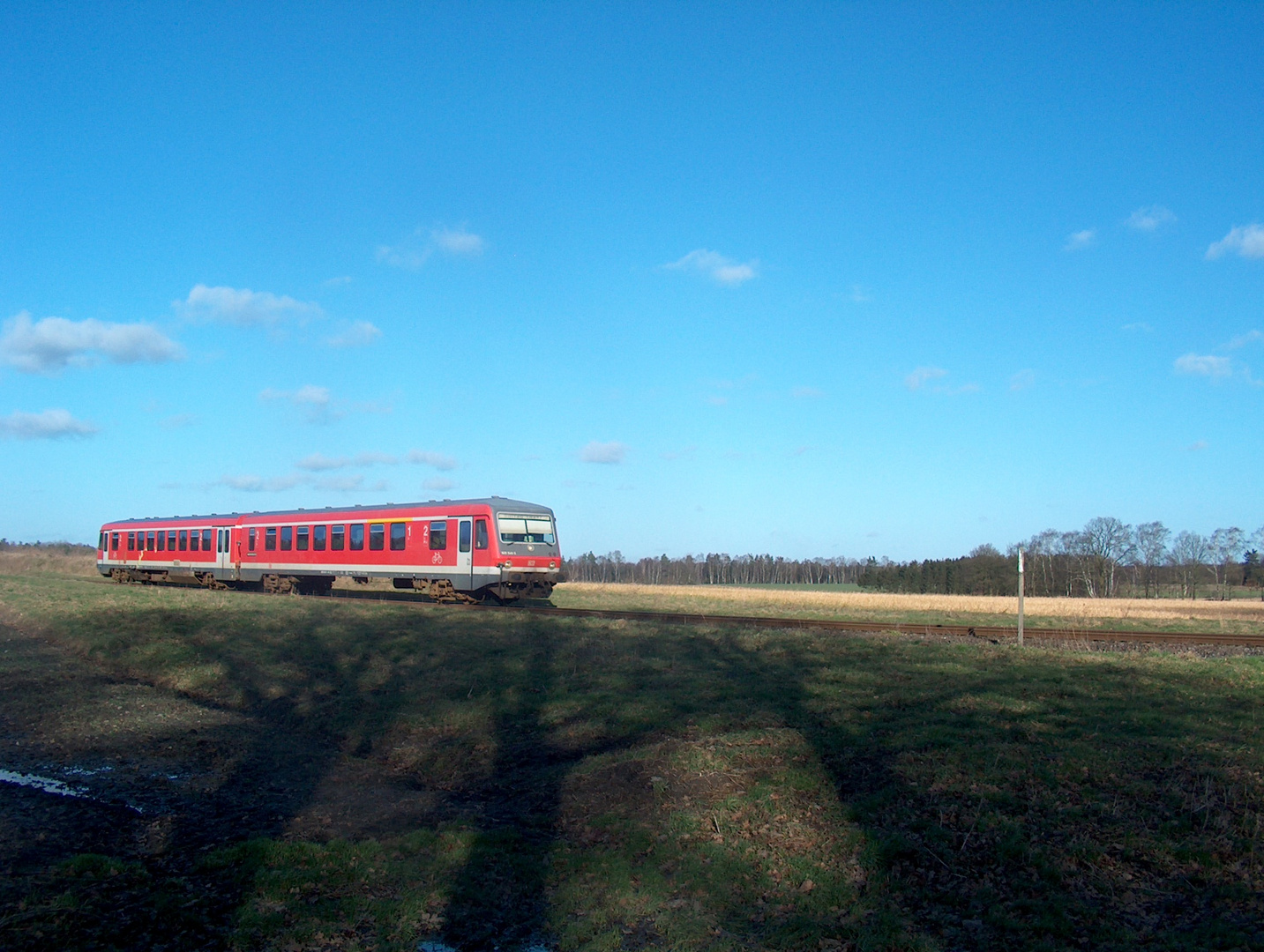 Frühling in der Heide