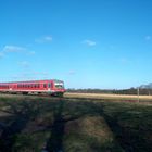 Frühling in der Heide