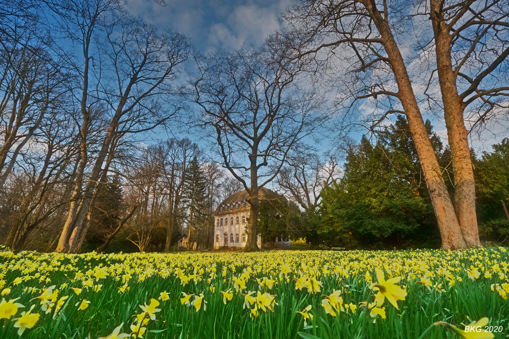 Frühling in der Heilanstalt 