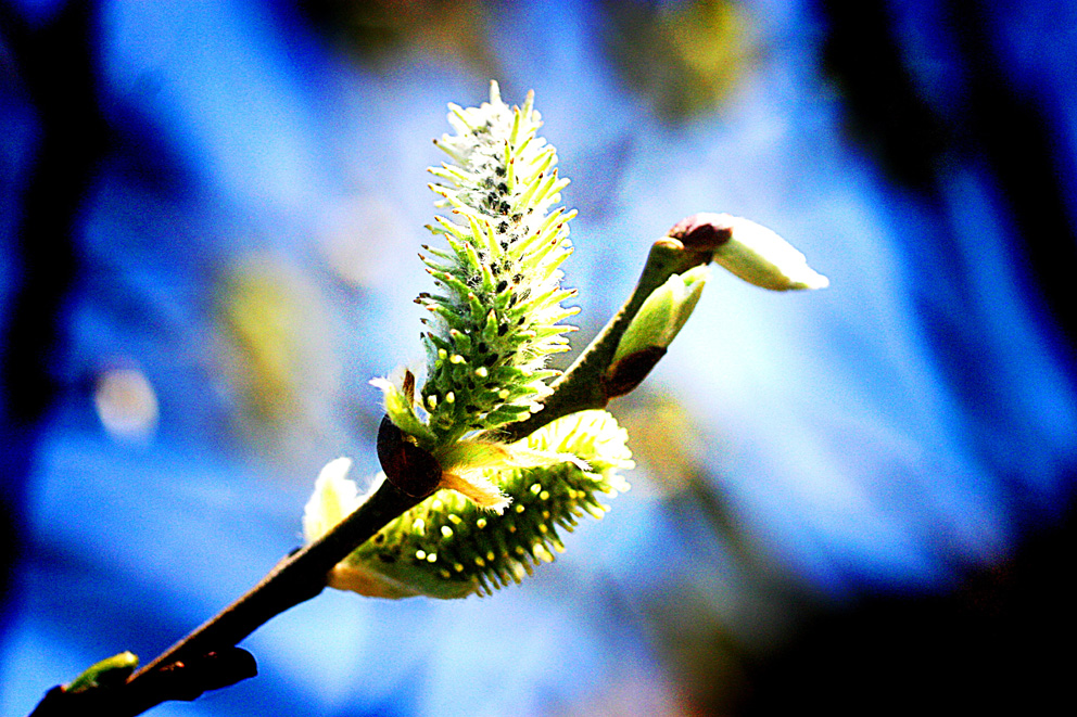 Frühling in der Hose