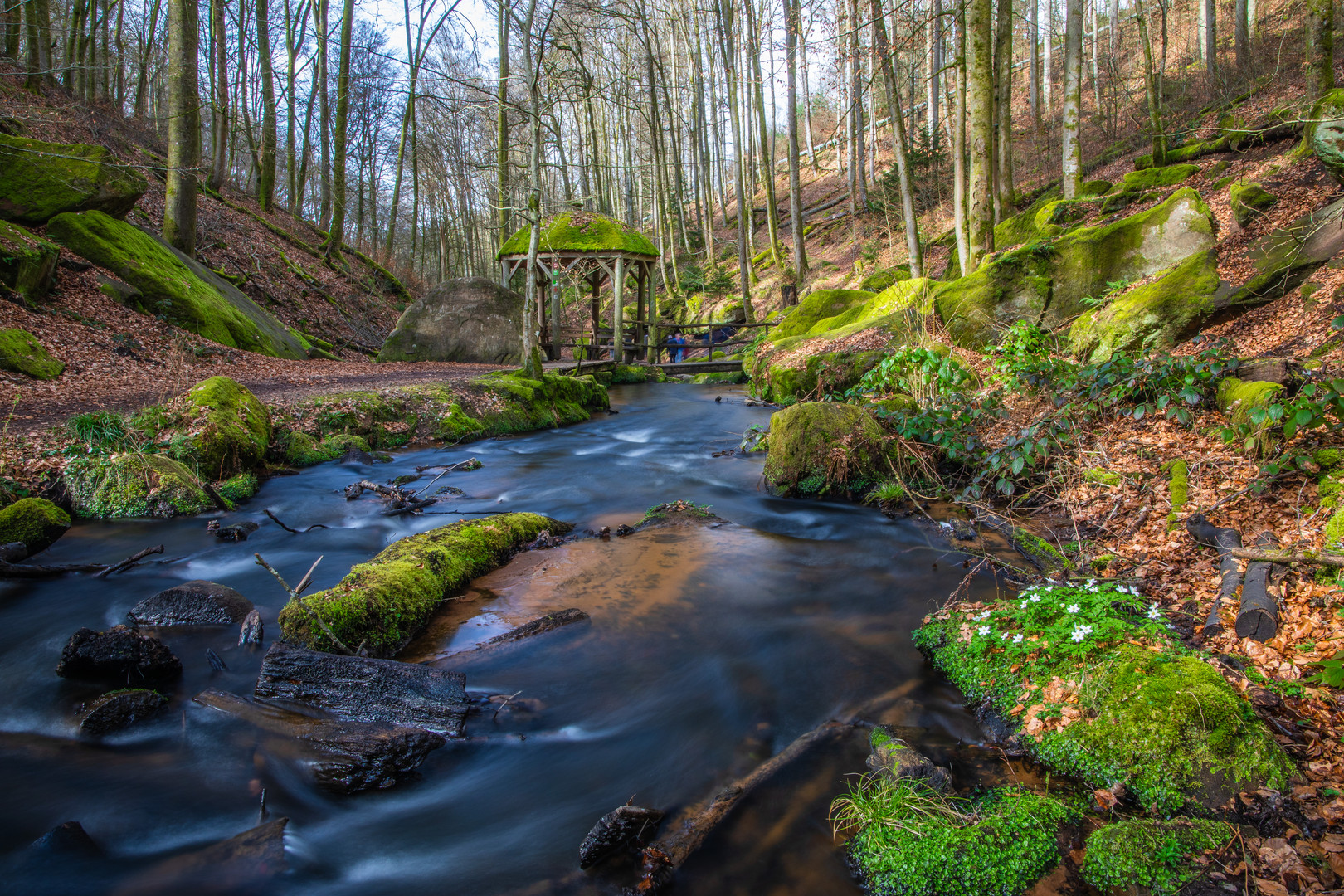 Frühling in der Karlstalschlucht